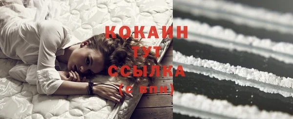 бошки Осинники
