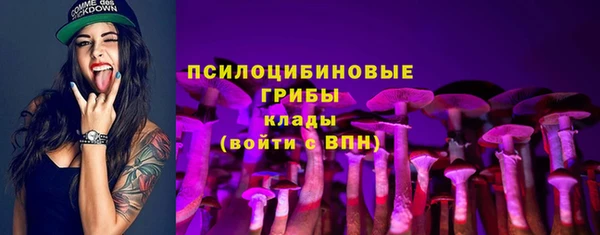 бошки Осинники