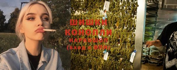 бошки Осинники