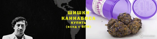 бошки Осинники