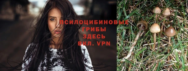 apvp Осташков