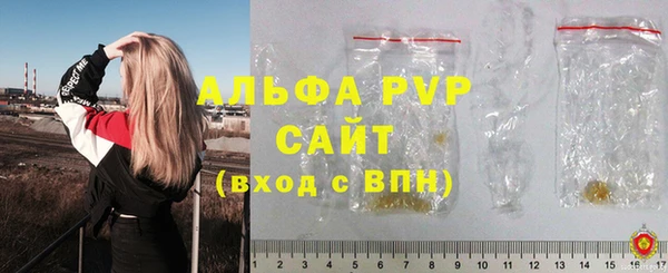 apvp Осташков