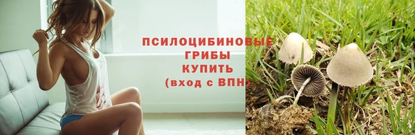 бошки Осинники
