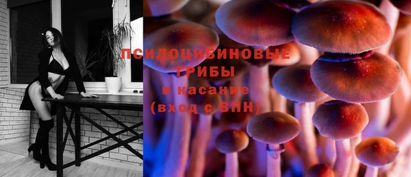 apvp Осташков